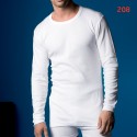 ABANDERADO 208 - camiseta termica caballero